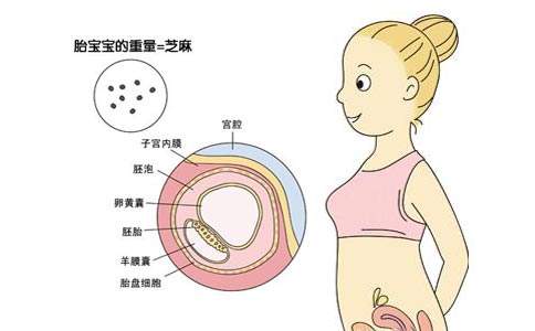 【怀孕多久有反应】★7个症状可以判断怀孕,你中招了没?