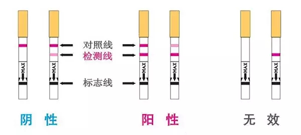 验孕棒多久能测出来_5个验孕棒使用注意事项,提高检测!