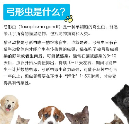 小区惊现倡议书,男子要求住户将宠物送走!孕妇养宠物,可行吗?