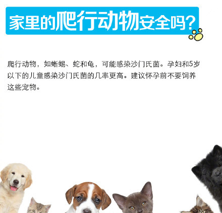 小区惊现倡议书,男子要求住户将宠物送走!孕妇养宠物,可行吗?