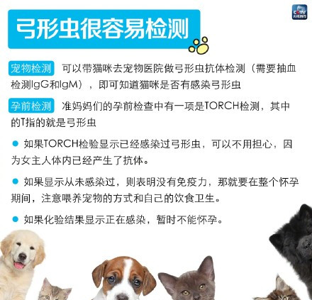 小区惊现倡议书,男子要求住户将宠物送走!孕妇养宠物,可行吗?