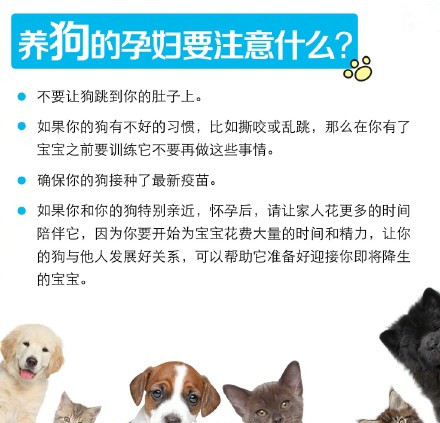 小区惊现倡议书,男子要求住户将宠物送走!孕妇养宠物,可行吗?