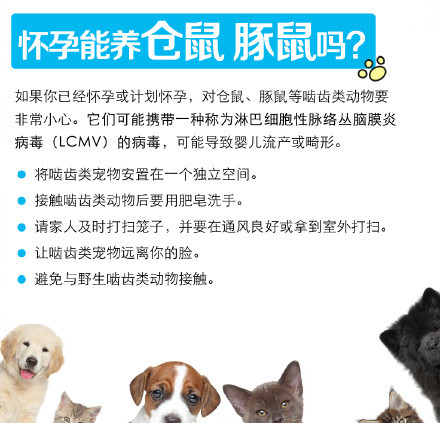 小区惊现倡议书,男子要求住户将宠物送走!孕妇养宠物,可行吗?
