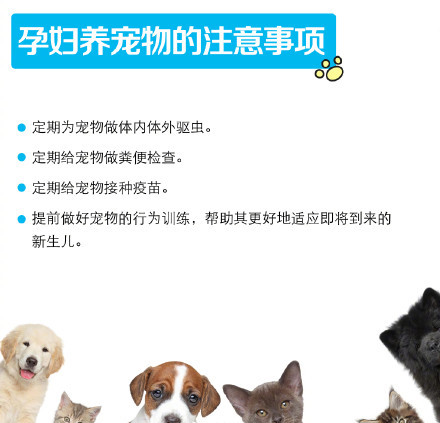 小区惊现倡议书,男子要求住户将宠物送走!孕妇养宠物,可行吗?