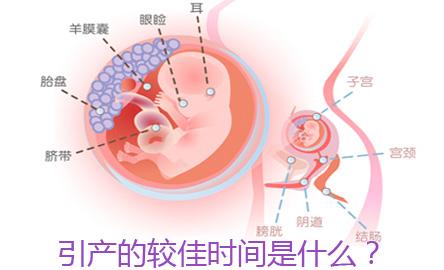 【图】科学小贴士：***引产手术全解析★6项引产前检查