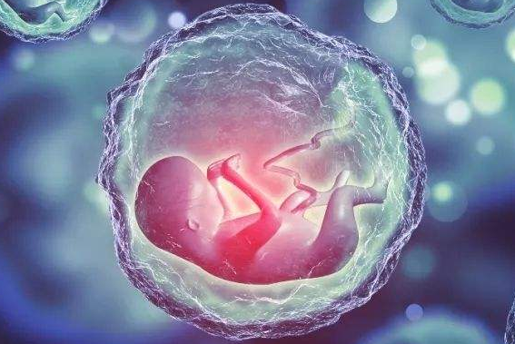 淮安抽血验早孕多少钱？【医生建议】不要太早抽血查早孕！